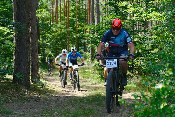 Skyjo : un jeu de cartes simple pour des rires en famille !